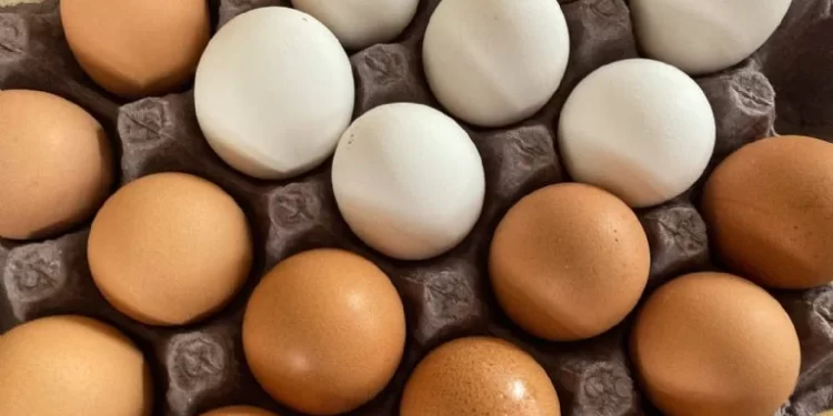 Ellos son los millonarios de Sonora; esto hicieron para crecer su fortuna