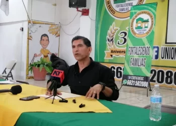 ¿Empleados de CFE y SAT armados? Alertan por reforma a la Ley Federal de Armas de Fuego