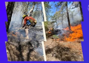 Realizan colecta para apoyar a brigadistas que combaten incendio en Nácori Chico