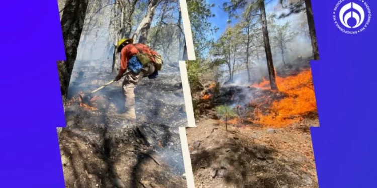 Realizan colecta para apoyar a brigadistas que combaten incendio en Nácori Chico