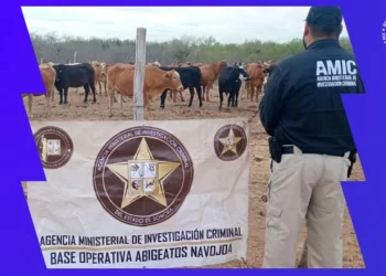 Van 15 denuncias por robo de ganado en Sonora en lo que va del año