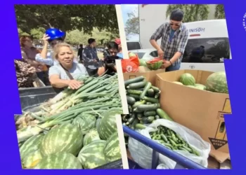 Estudiantes de Agronomía de la UNISON venden hortalizas para comprar un tractor escolar