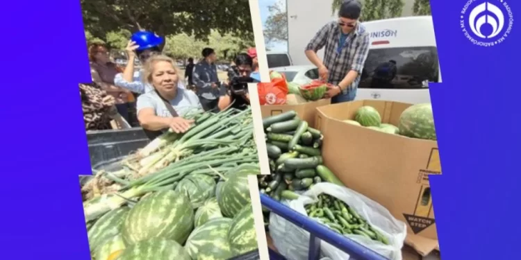 Estudiantes de Agronomía de la UNISON venden hortalizas para comprar un tractor escolar