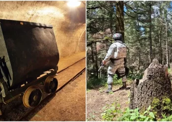 Tala y minería: estos recursos naturales están bajo el control del narco