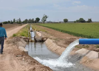 SLRC cuenta con agua suficiente para cultivos por tratado binacional; descartan sequía