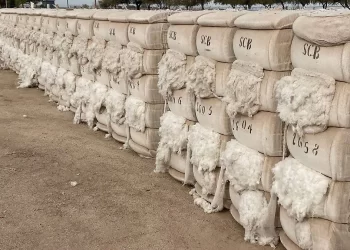 Algodón cultivado en el valle de SLRC conquista mercado japonés