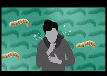 Secretaría de Salud confirma 6 casos personas afectadas por el gusano barrenador en México