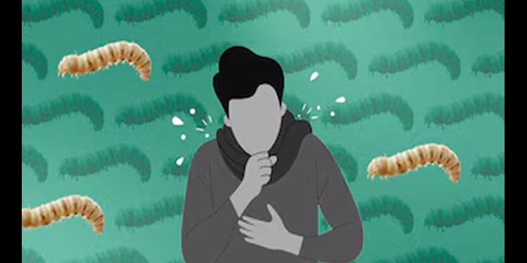 Secretaría de Salud confirma 6 casos personas afectadas por el gusano barrenador en México