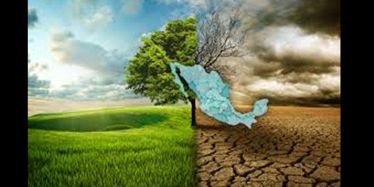 Presentan herramienta para impulsar el financiamiento climático en proyectos de Gobiernos