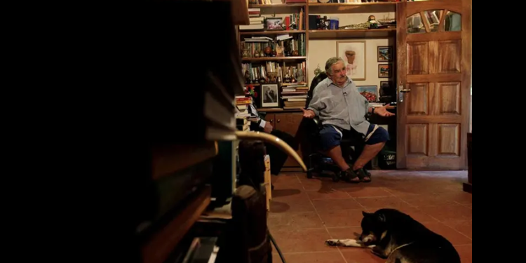 La última voluntad de José Mujica: Ser enterrado junto a su fiel perra Manuela