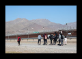 Sheinbaum ha deportado a más de medio millón de migrantes porque Trump la “obligó”, asegura secretaria de Seguridad