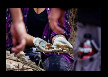 FGR confirma hallazgo de 44 restos óseos en un predio del municipio de Ixtlahuacán, Colima