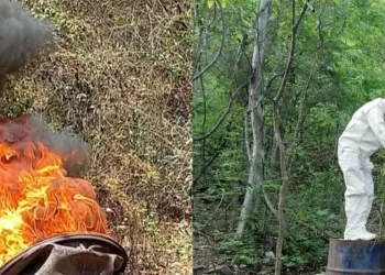 Tierra envenenada: éste es el daño ecológico irreparable que deja el narco con sus laboratorios clandestinos