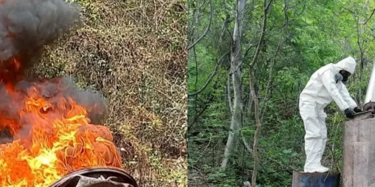 Tierra envenenada: éste es el daño ecológico irreparable que deja el narco con sus laboratorios clandestinos