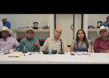 Relanzan productores y asociaciones civiles el proyecto del PLHINO del Bienestar para el Sur de Sonora