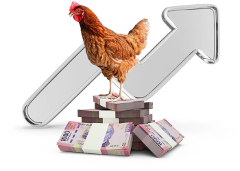 Precio del pollo ‘vuela’ en lo que va del año