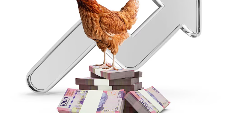 Precio del pollo ‘vuela’ en lo que va del año