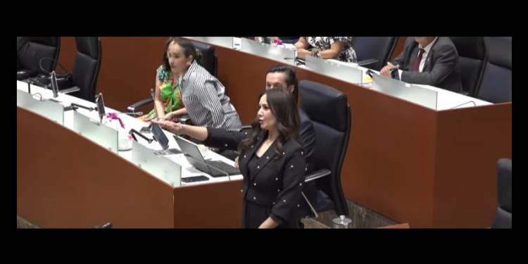 Llega al Congreso de Sonora relevo de Paloma Terán Villalobos