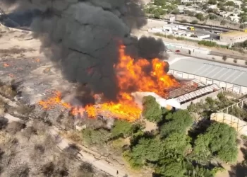 Reportan dos incendios activos en sierra de Sonora