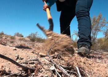 Suman 7 osamentas localizadas en fosas de Bahía de Kino y de Hermosillo