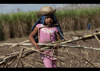Trabajo Infantil en México: la deuda pendiente con la infancia
