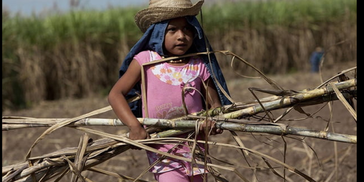 Trabajo Infantil en México: la deuda pendiente con la infancia