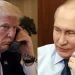 Trump discute con Putin por teléfono para poder negociar el fin de la guerra en Ucrania