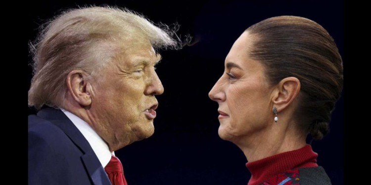 Trump dice que Sheinbaum tiene tanto miedo a los carteles que no puede pensar con claridad