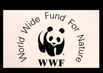 Hermosillo recibirá reconocimiento por la WWF, organización internacional de cuidado al medio ambiente