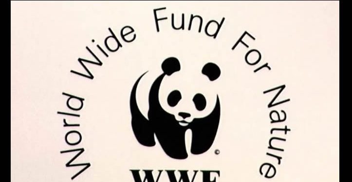 Hermosillo recibirá reconocimiento por la WWF, organización internacional de cuidado al medio ambiente