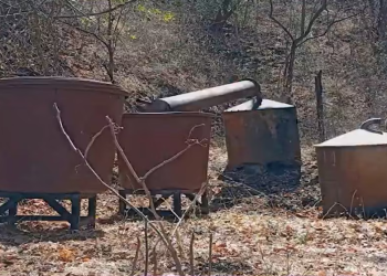 Golpes millonarios al narco en Sonora y Sinaloa: aseguran sustancias químicas, cocaína y opio