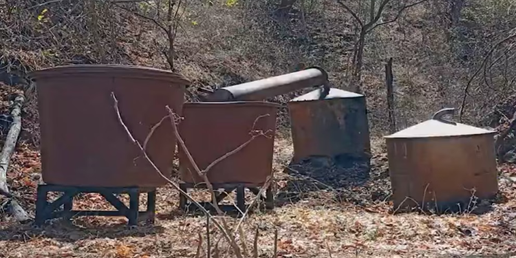 Golpes millonarios al narco en Sonora y Sinaloa: aseguran sustancias químicas, cocaína y opio