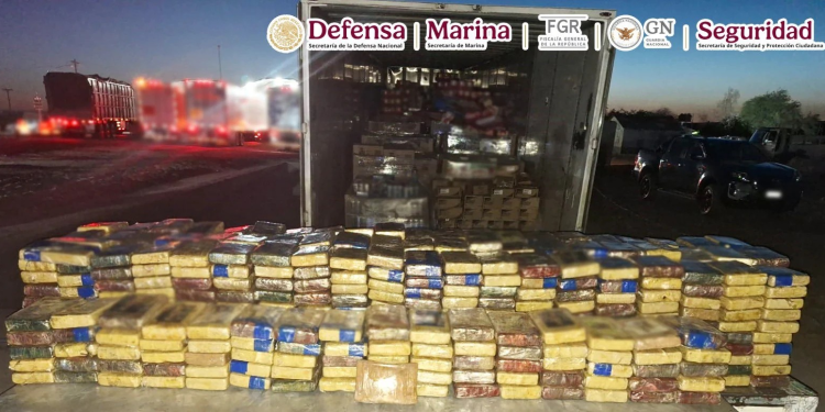 Evitan distribución de 2.1 millones de dosis de cocaína en Sonora: decomisan 701 kilos ocultos en café