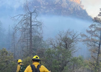 Incendio forestal devasta 2 mil hectáreas en sierra de Agua Prieta, Sonora; lleva activo 5 días