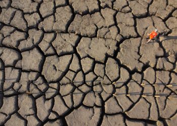 Piden declarar sur de Sonora zona de desastre natural por sequía