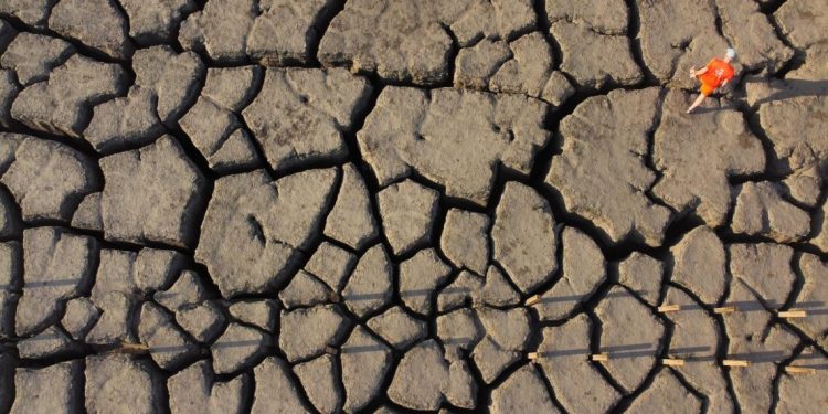 Piden declarar sur de Sonora zona de desastre natural por sequía