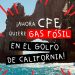 Proyecto de energía con gas de la CFE en Los Cabos amenaza el hábitat del tiburón ballena, advierten ambientalistas
