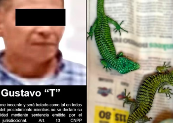 FGR detiene a traficante de reptiles antes de volar a Japón