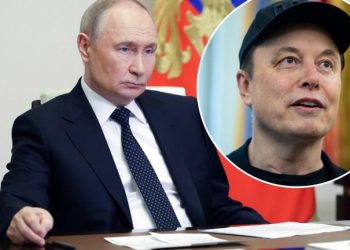 De aliados a enemigos: Rusia ofrece asilo político a Elon Musk tras su pelea con Donald Trump