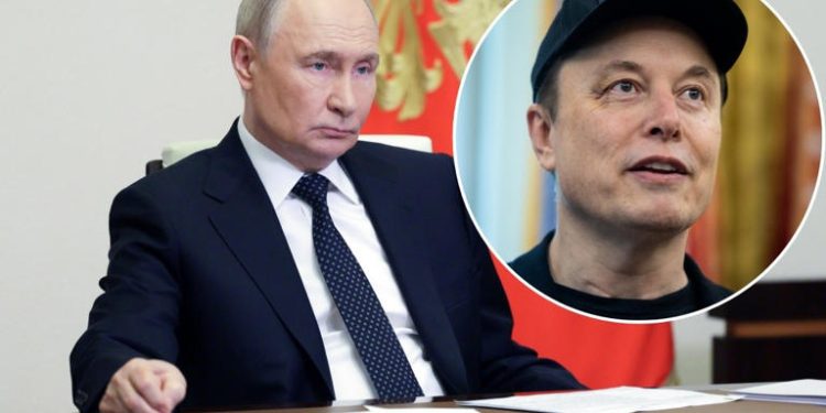 De aliados a enemigos: Rusia ofrece asilo político a Elon Musk tras su pelea con Donald Trump
