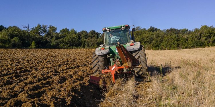 Empleo en Sonora registra ligera recuperación en mayo