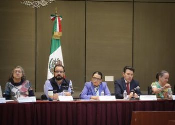 Iniciativa sobre desaparecidos no será legítima si no la aprueban las buscadoras: Rosa Icela