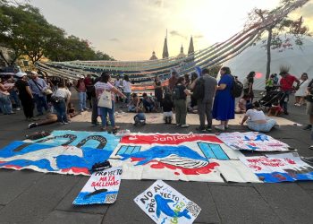 “Charla y dibujos en defensa de las ballenas mexicanas”: activación ciudadana frente al proyecto SAGUARO