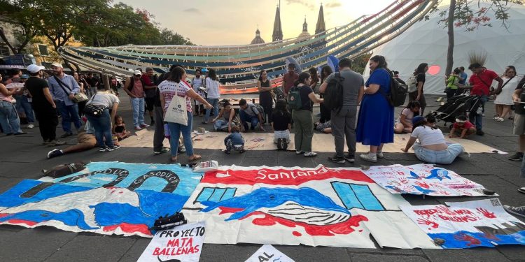 “Charla y dibujos en defensa de las ballenas mexicanas”: activación ciudadana frente al proyecto SAGUARO