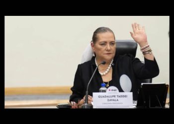 INE calcula participación de entre 12.57 y 13.32%, muy por debajo de las expectativas de la 4T