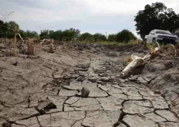 Ahorca sequía al agro en norte del País