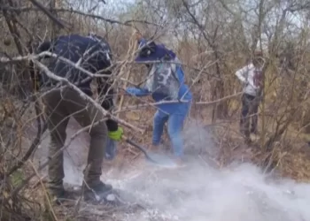 Colectivos Localizan Cuerpo en Fosa Clandestina en Cerro de la Virgen en Navojoa