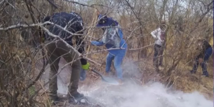 Colectivos Localizan Cuerpo en Fosa Clandestina en Cerro de la Virgen en Navojoa