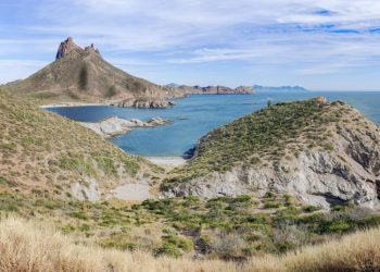 Sonora se recupera en inversión extranjera y espera llegada de nuevas empresas