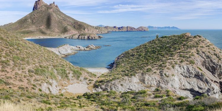 Sonora se recupera en inversión extranjera y espera llegada de nuevas empresas